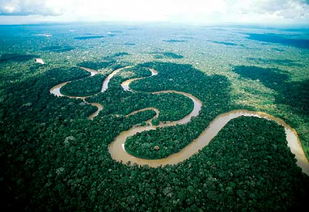 现在亚马逊森林还剩多少面积（亚马逊森林有多少平方公里）