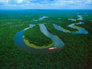 现在亚马逊森林还剩多少面积