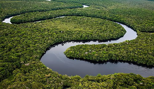 亚马逊河面积有多大