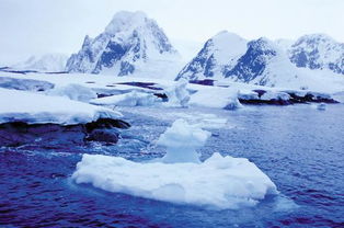 南极今天的温度是多少