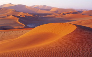 撒哈拉沙漠在哪个国家