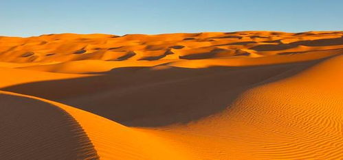 世界上最大的沙漠有多大
