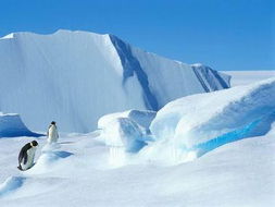 南极是世界上最冷的地方吗