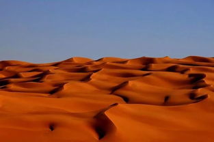 最大的沙漠在哪里