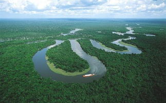 亚马逊雨林需要收费吗