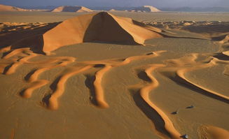 第一大沙漠是什么