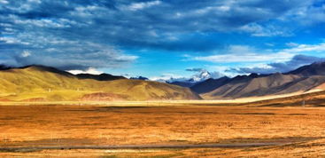 青藏高原是世界上最高的高原吗