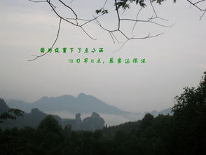 中国自然保护区有哪些