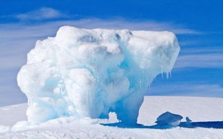 南极的气候是什么