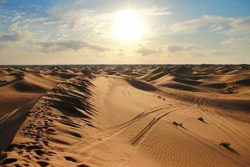 沙漠的沙子从哪里来的